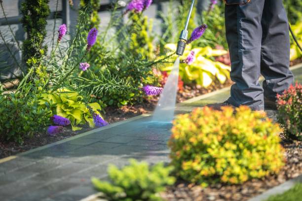 Best Gutter Cleaning  in Ranger, TX